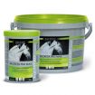 SECRETA PRO max